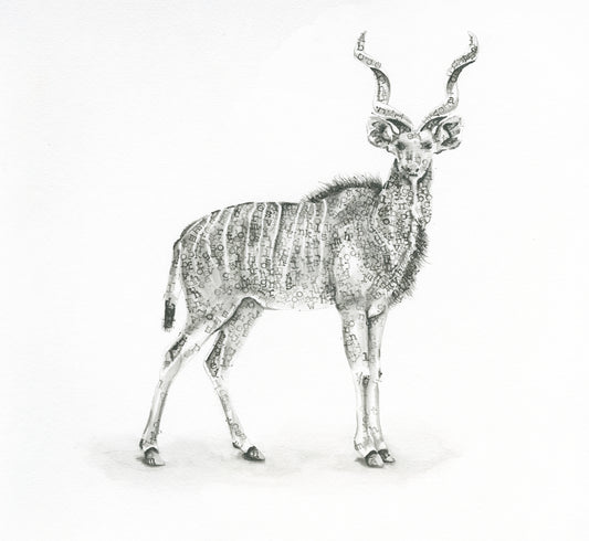 Kudu